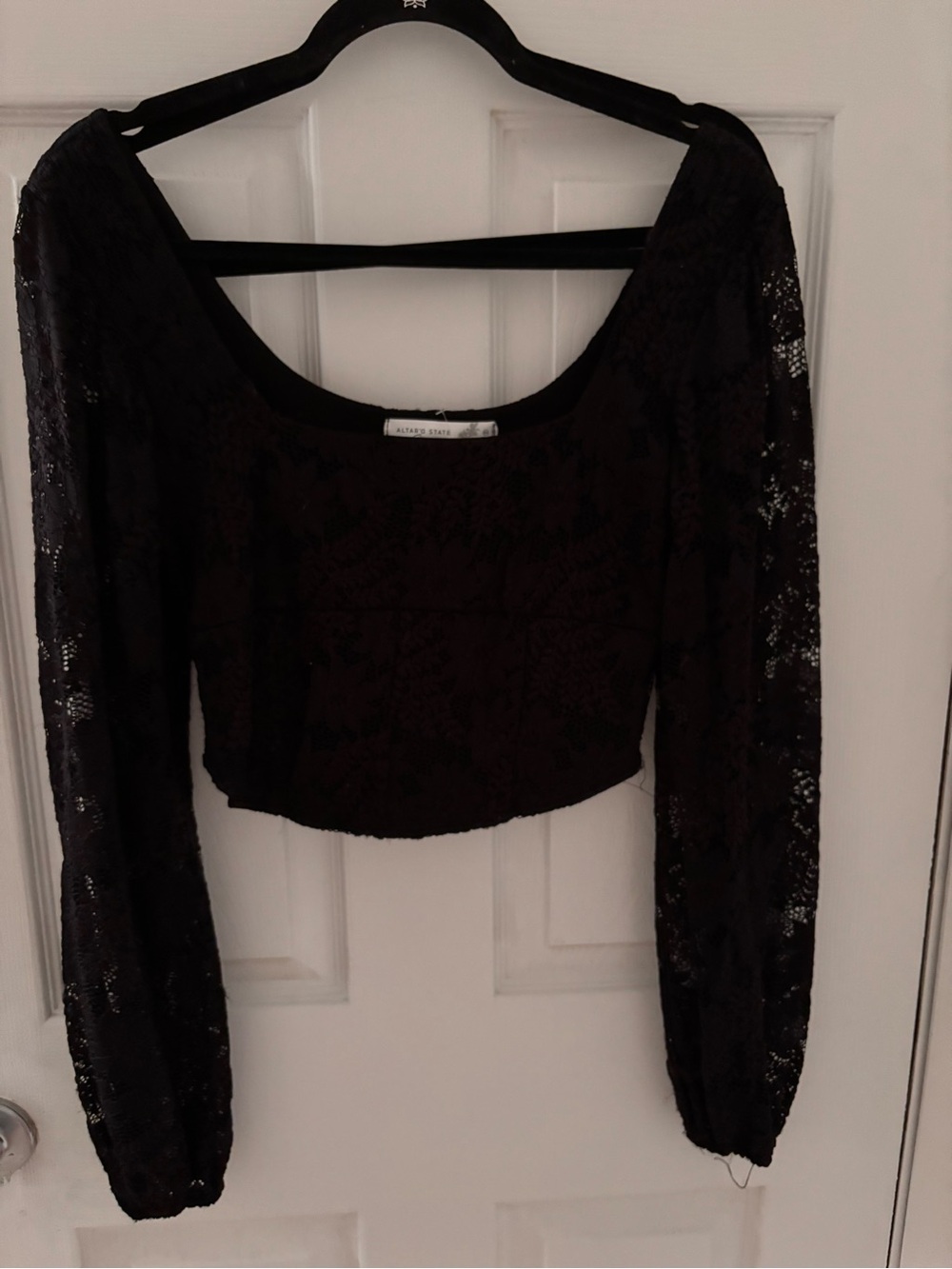 Altard state Lace Long-Sleeve Cropped Top